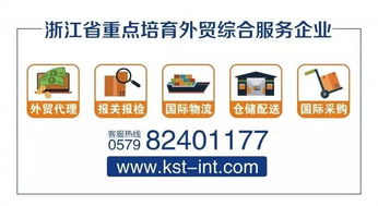 金士敦供應(yīng)鏈 一站式因私出入境及報關(guān)服務(wù)解決方案