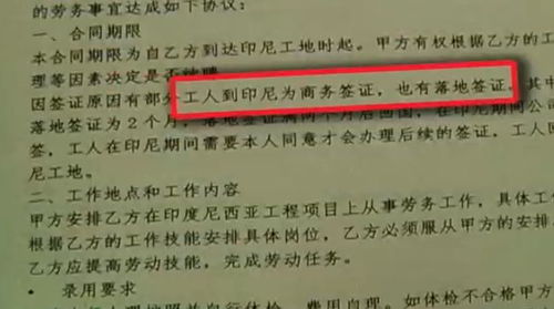 出國打工夢碎 簽證問題與中介服務(wù)的警示